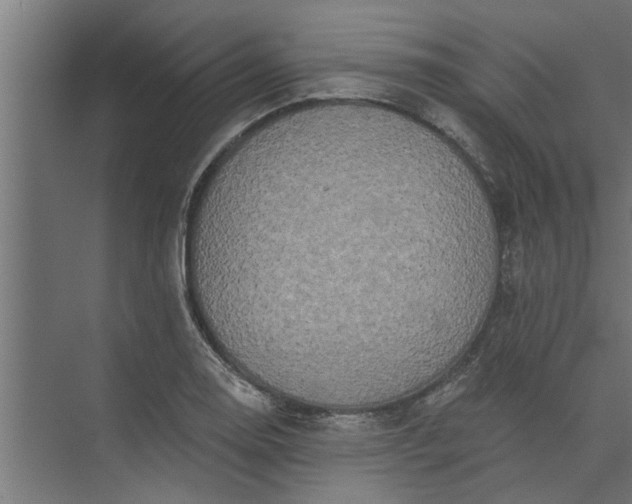 X0000073851130200608241036