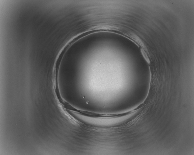 X0000073851132200608241036