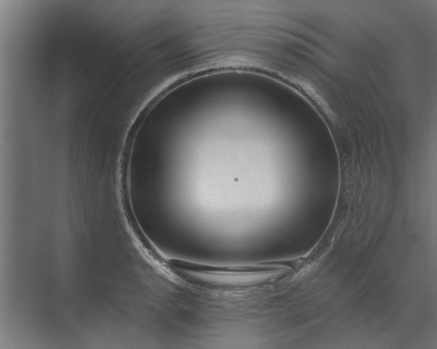 X0000073851134200608241036