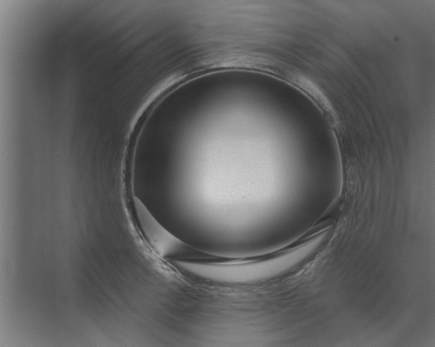 X0000073851138200608241036