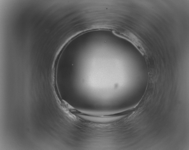 X0000073851140200608241036