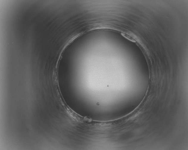 X0000073851145200608241036