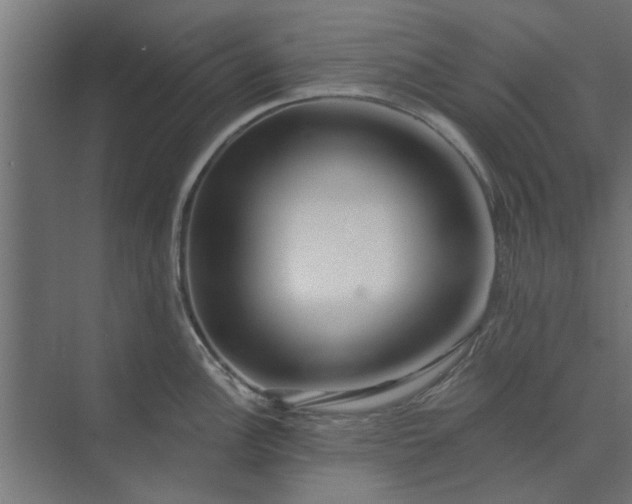 X0000073851148200608241036