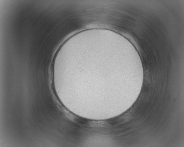 X0000073851150200608241036