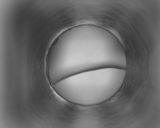 X0000073851151200608241036