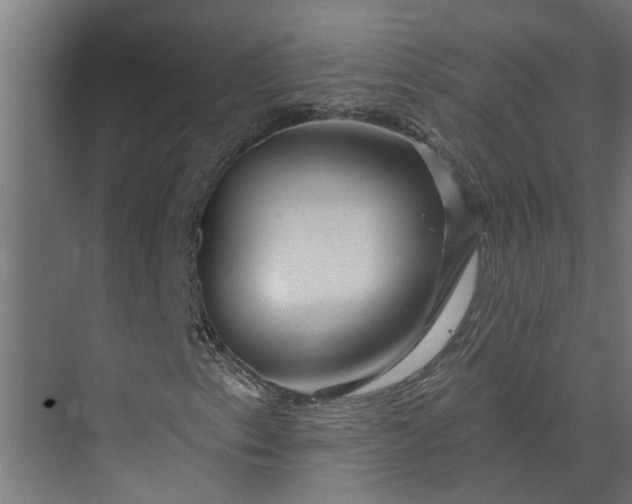 X0000073851153200608241035