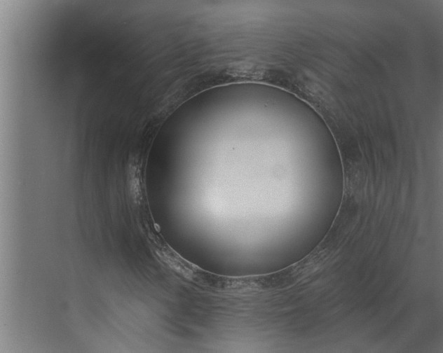 X0000073851154200608241035