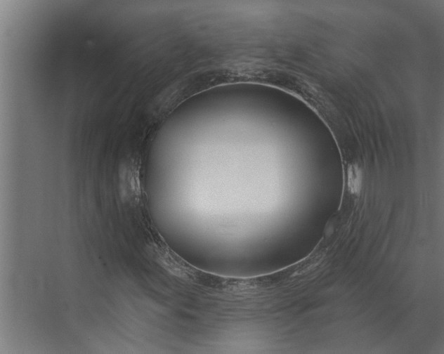 X0000073851155200608241035