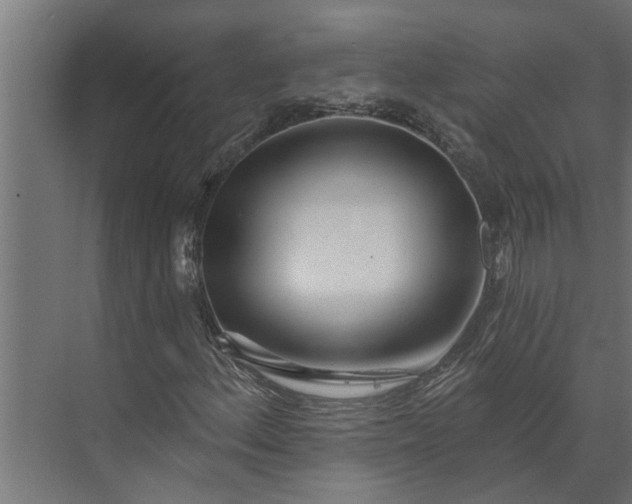 X0000073851156200608241035