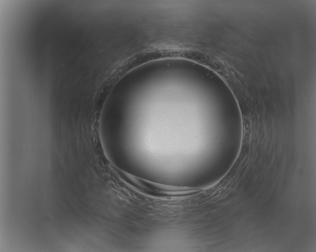 X0000073851157200608241035