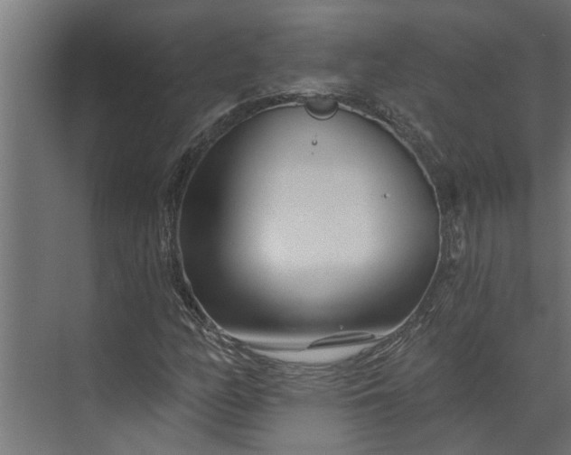 X0000073851158200608241035