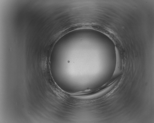 X0000073851161200608241035