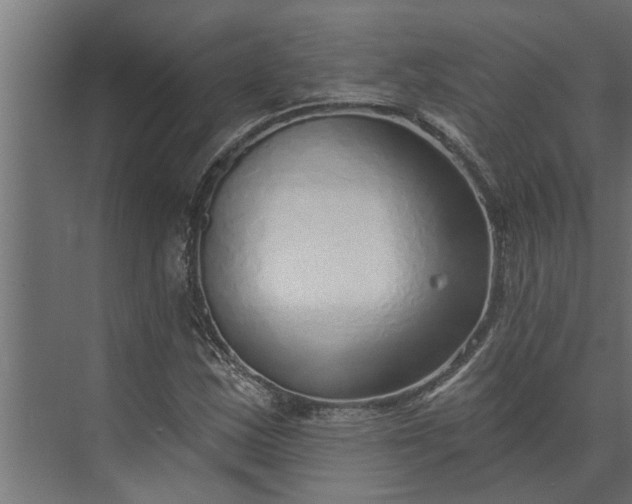 X0000073851163200608241035