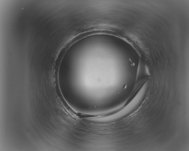 X0000073851164200608241035