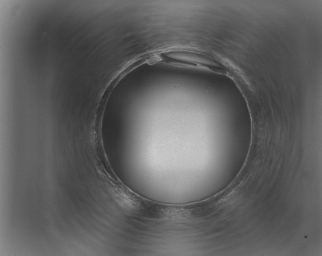 X0000073851170200608241035