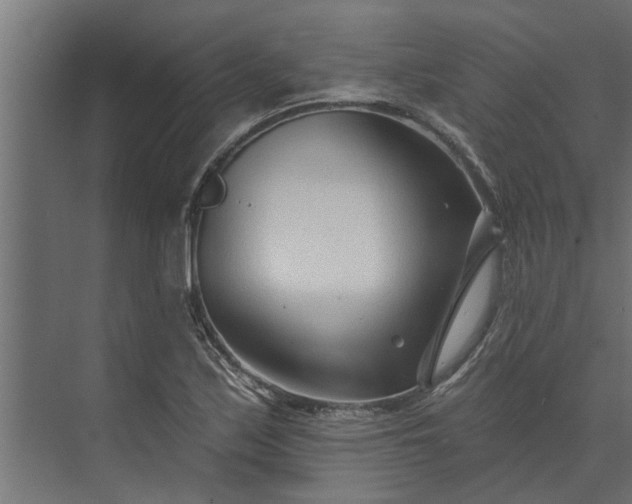 X0000073851171200608241035