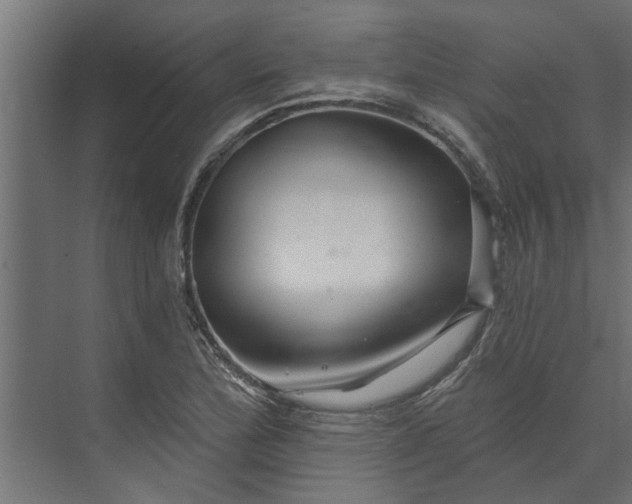 X0000073851172200608241035