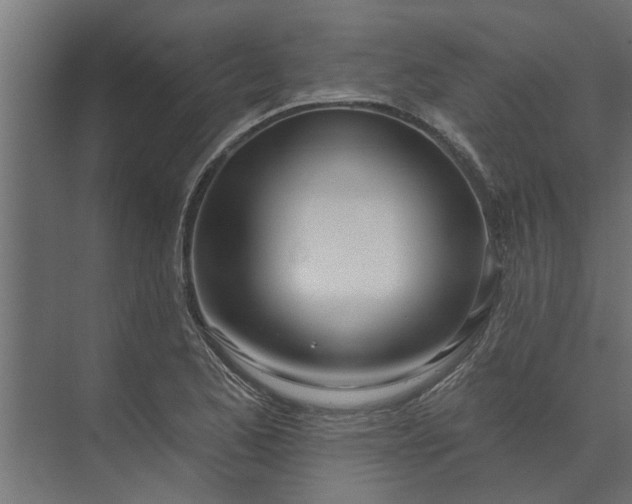 X0000073851173200608241035