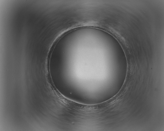 X0000073851174200608241035