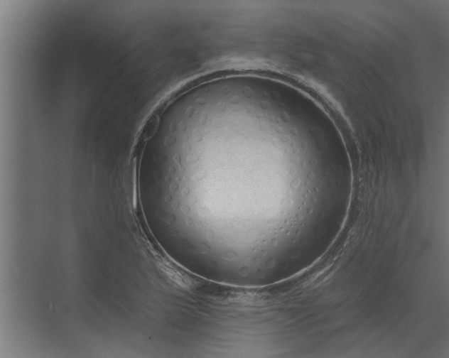 X0000073851175200608241035