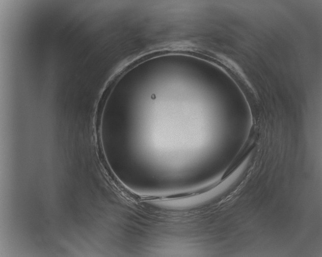 X0000073851176200608241035