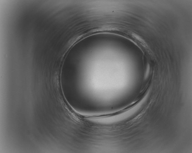 X0000073851177200608241035