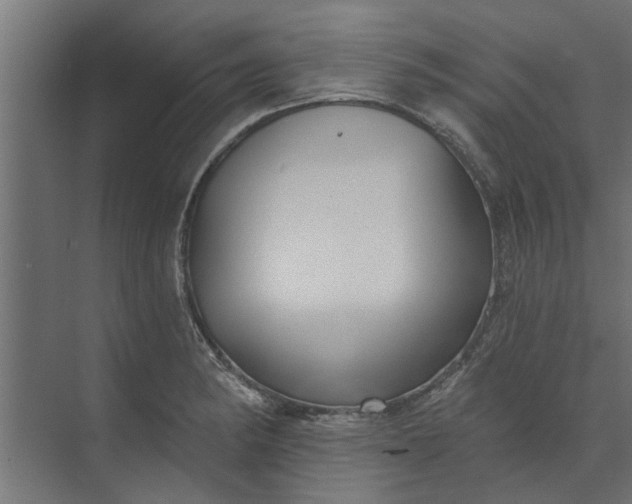 X0000073851182200608241035