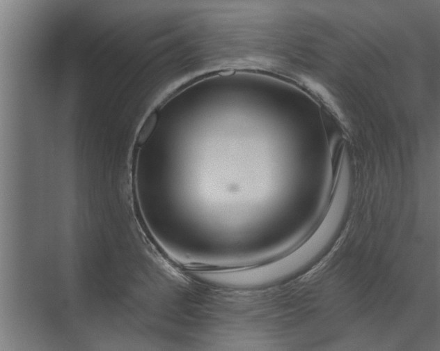 X0000073851184200608241035