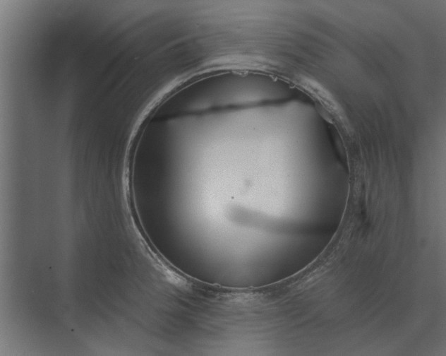 X0000073851188200608241035