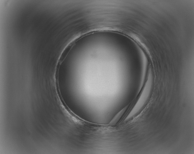 X0000073851189200608241035