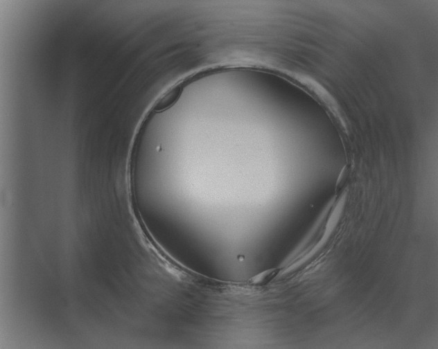 X0000073851191200608241035