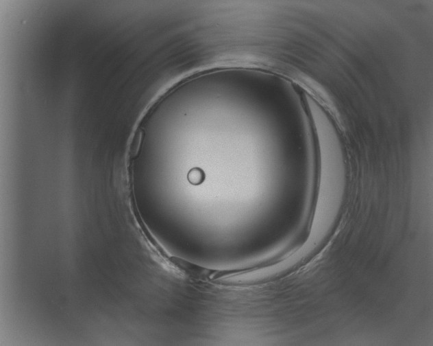 X0000073851192200608241035