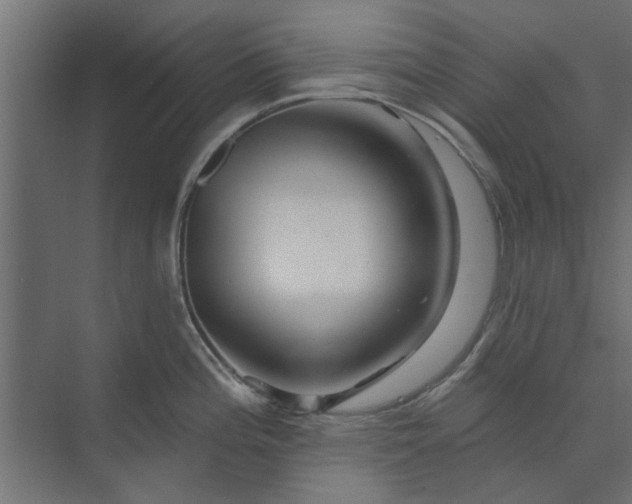 X0000073851196200608241034