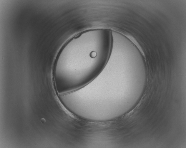 X0000073851197200608241034