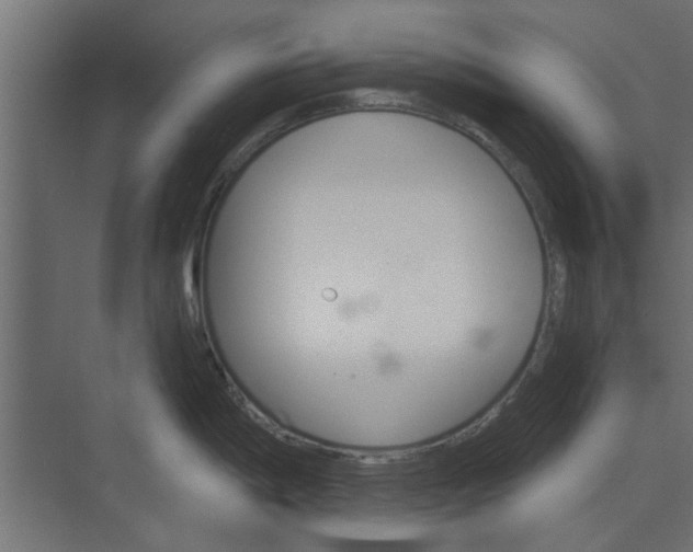 X0000073851198200608241034