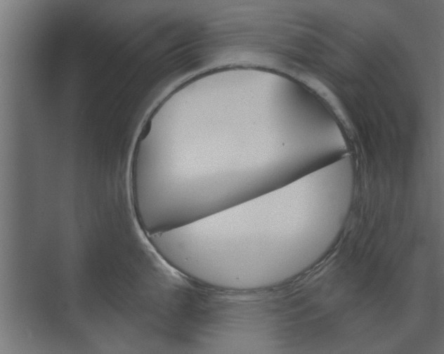 X0000073851199200608241034