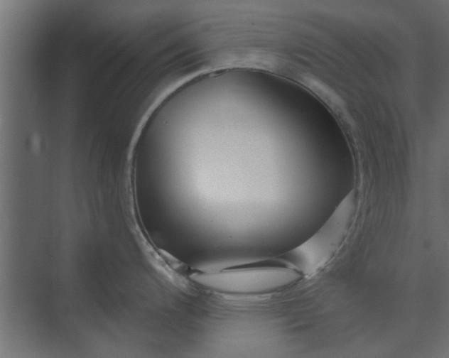 X0000073851200200608241034