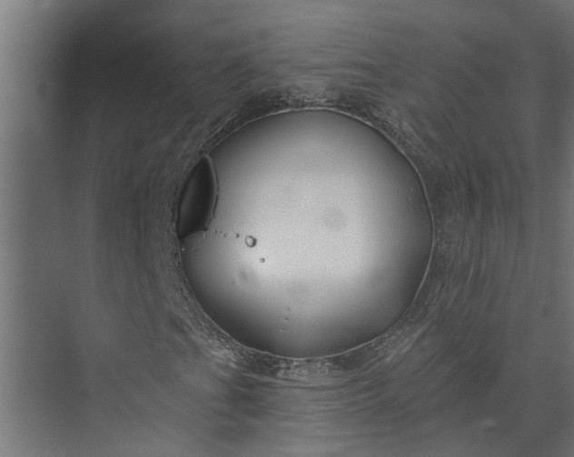 X0000073851201200608241034