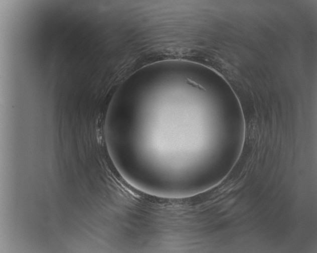 X0000073851202200608241034