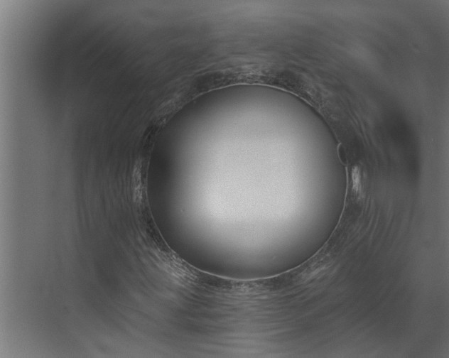 X0000073851203200608241034