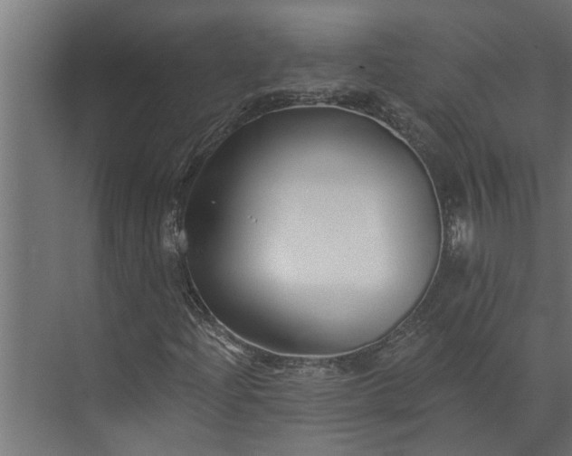 X0000073851204200608241034