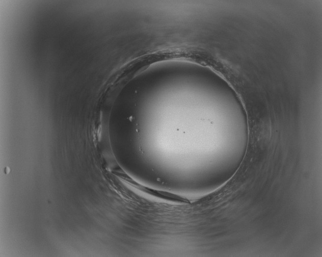 X0000073851206200608241034