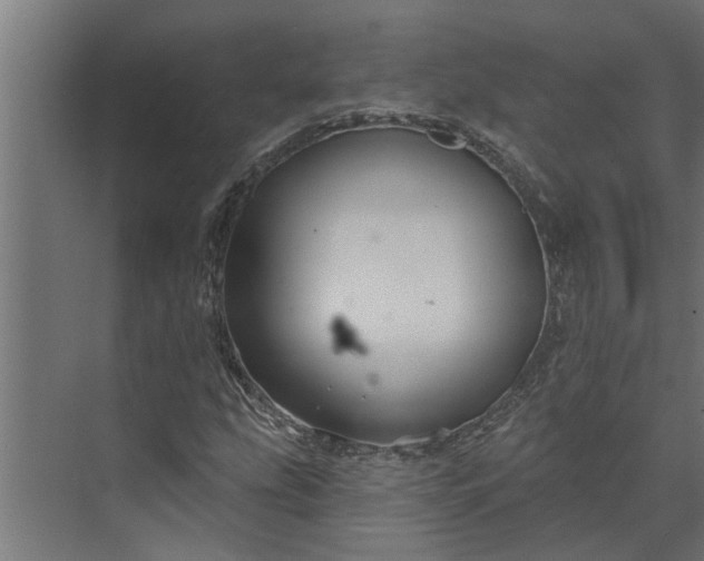 X0000073851207200608241034