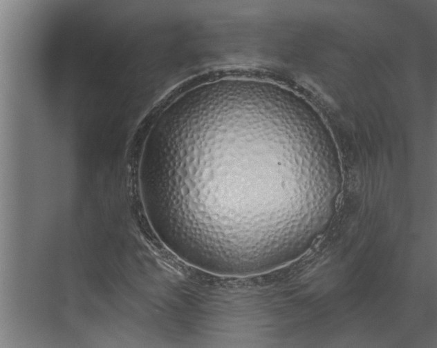 X0000073851208200608241034