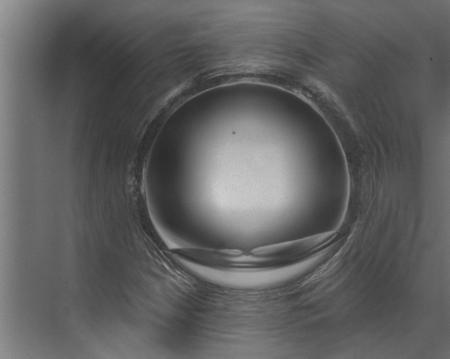 X0000073851210200608241034