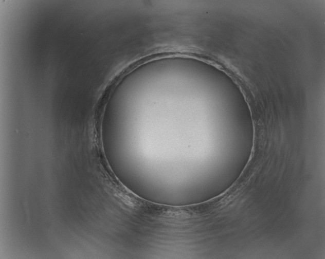 X0000073851215200608241034