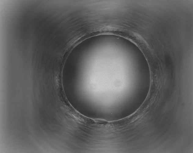 X0000073851217200608241034