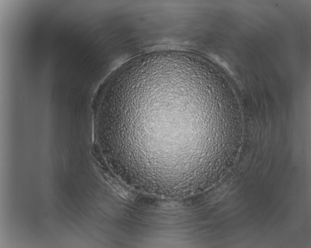 X0000073851219200608241034