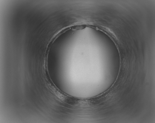 X0000073851220200608241034