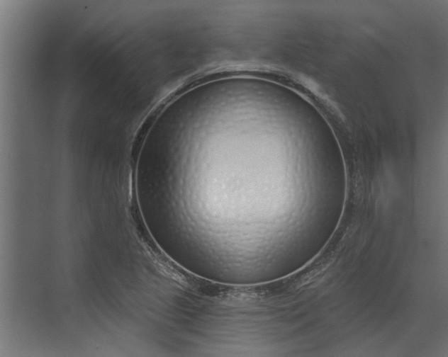 X0000073851221200608241034